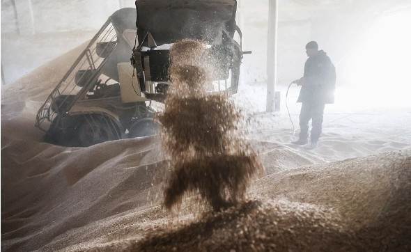 Аналитики предупредили о риске хранения рекордного урожая зерна